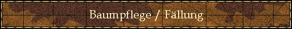 Baumpflege / Fllung