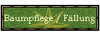Baumpflege / Fllung